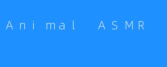 Animal ASMR